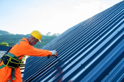 Commercial Roofing Expert